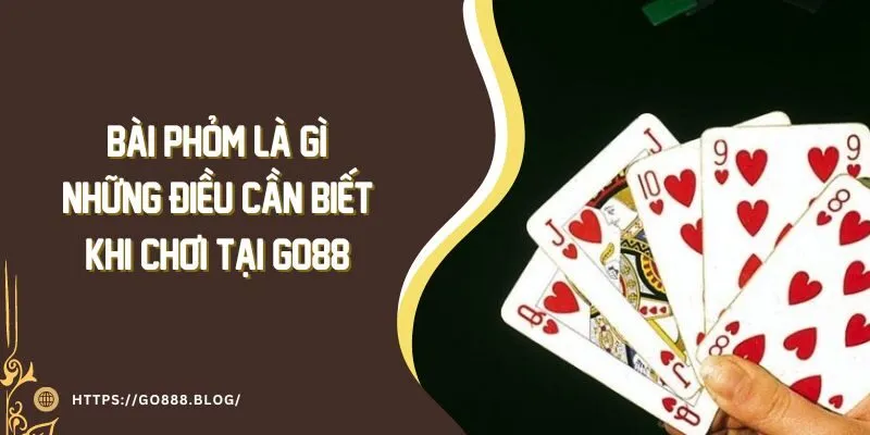 Bài Phỏm Là Gì? Những Điều Cần Biết Khi Chơi Tại Go88