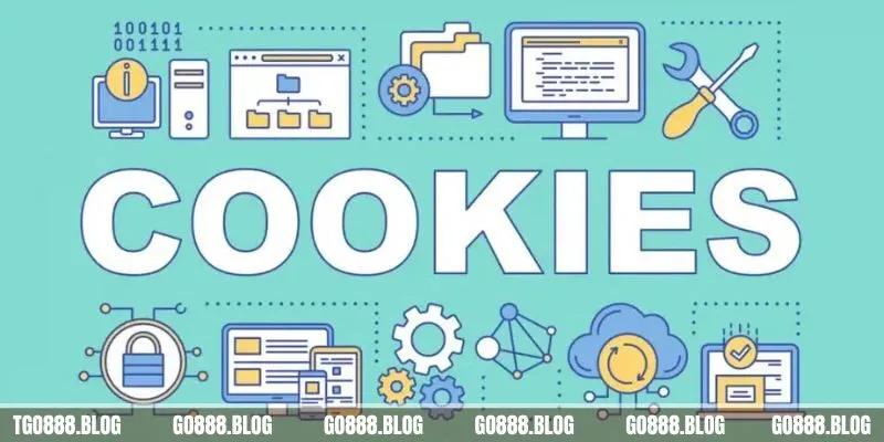 Khái niệm về dữ liệu cookie