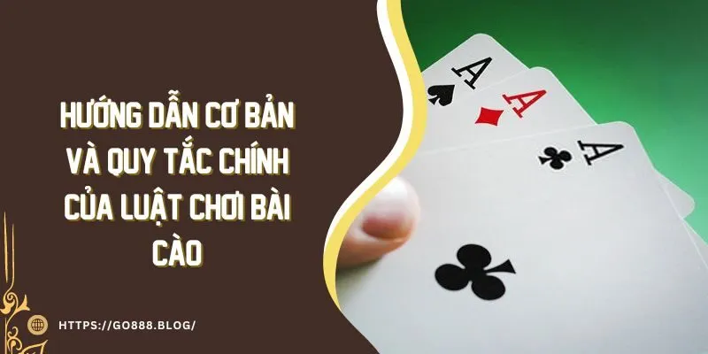 Hướng Dẫn Cơ Bản Và Quy Tắc Chính Của Luật Chơi Bài Cào